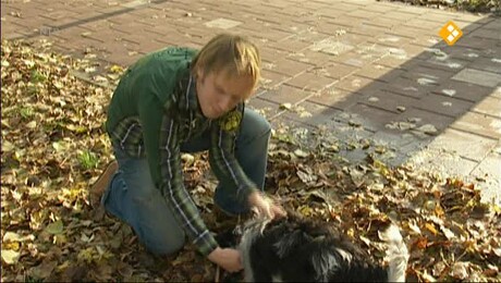 Het Klokhuis | Dierenarts